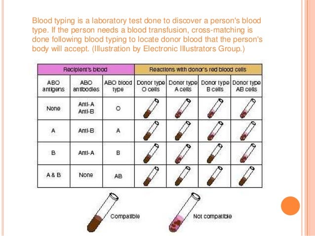 What are some common blood disorders and diseases?