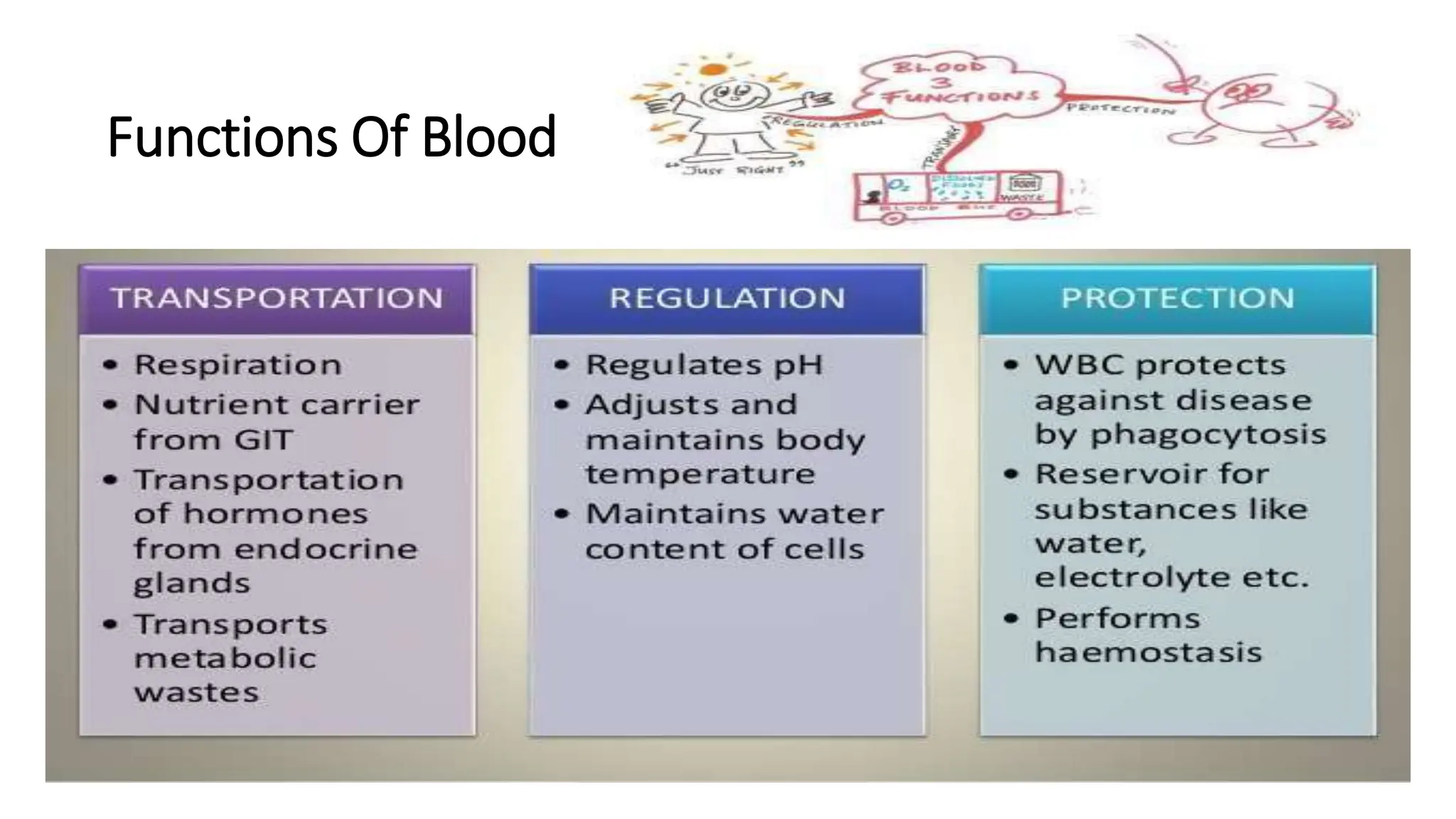 Blood and blood productsplasma substitutes plasma expanders.pptx