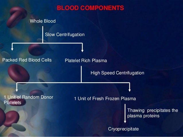 cells of red blood composition Blood and blood transfusions
