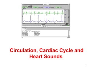 Circulation, Cardiac Cycle and
        Heart Sounds
                                 1
 