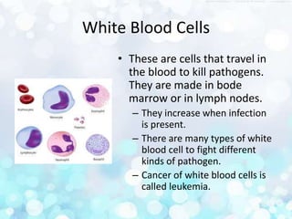 Blood and Immune Systems for IHS Unit 4 | PPTX