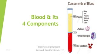 Blood & Its
4 Components
Disclaimer: All pictures are
borrowed from the internet.4/16/2020B. Surnam 1
 