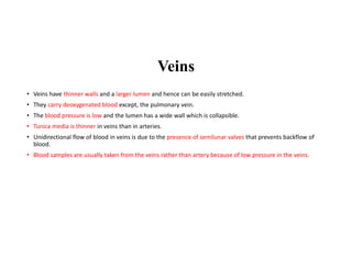 Veins
• Veins have thinner walls and a larger lumen and hence can be easily stretched.
• They carry deoxygenated blood except, the pulmonary vein.
• The blood pressure is low and the lumen has a wide wall which is collapsible.
• Tunica media is thinner in veins than in arteries.
• Unidirectional flow of blood in veins is due to the presence of semilunar valves that prevents backflow of
blood.
• Blood samples are usually taken from the veins rather than artery because of low pressure in the veins.
 