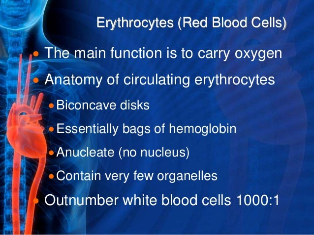 blood and blood related products pdf