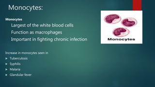 Monocytes:
Monocytes
Largest of the white blood cells
Function as macrophages
Important in fighting chronic infection
Increase in monocytes seen in
 Tuberculosis
 Syphilis
 Malaria
 Glandular fever
 
