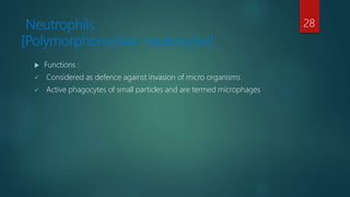Neutrophils
[Polymorphonuclear Leukocytes]
 Functions :
 Considered as defence against invasion of micro organisms
 Active phagocytes of small particles and are termed microphages
28
 