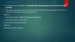 Eosinophils
 Eosinophils are responsible for detoxification, disintegration and removal of foreign
proteins.
 The lethal substances present in the granules of eosinophils and released at the time of
exposure to parasites or foreign proteins are:
Internum :
1. Major basic protein (MBP) [50%]:arginin,histaminase
2. Eosinophil cationic protein (ECP)
3. Eosinophil-derived neurotoxin
Externum :
Chemotactic factor receptor
32
 