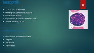 Basophils
 12 – 15 µm in diameter
 Make up 1% of blood leukocytes
 Nucleus is S shaped
 Supplement the function of mast cells
 Survive for 60 to 70 hrs
Specific granules consists of:
 Eosinophilic chemotactic factor
 Heparin
 Histamine
 Peroxidase
38
 