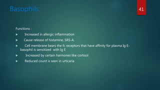 Basophils
Functions :
 Increased in allergic inflammation
 Cause release of histamine, SRS-A.
 Cell membrane bears the fc receptors that have affinity for plasma Ig E-
basophil is sensitized with Ig E
 Increased by certain harmones like cortisol
 Reduced count is seen in urticaria
41
 