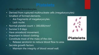 Platelets
• Also called thrombocytes.
• Derived from ruptured multinucleate cells (megakaryocytes)
• Smallest of formed elements.
• Are fragments of megakaryocytes.
• Lack nuclei.
• Normal platelet count = 300,000/mm3
• Survive 5-9 days
• Have amoeboid movement.
• Important in blood clotting:
• Constitute most of the mass of the clot.
• Release serotonin to reduce blood flow to area.
• Secrete growth factors
• Maintain the integrity of blood vessel wall.
 