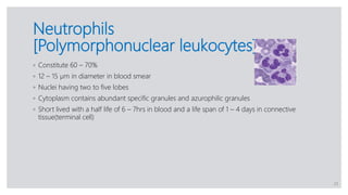 Polymorphonuclear Function Blood and Its Components | PPTX
