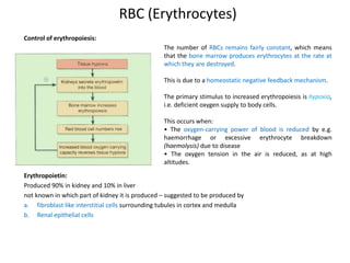 Excessive Rbc Breakdown Blood and its components | PPTX