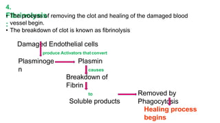 Blood and its components.pptx