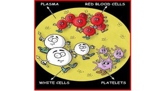 Blood and its components.pptx
