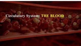 Circulatory System: THE BLOOD
 