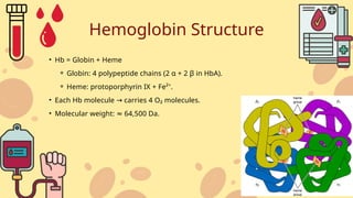 Hba Structure Blood and Its Components: Structure, Functions & Clinical Importance.pptx