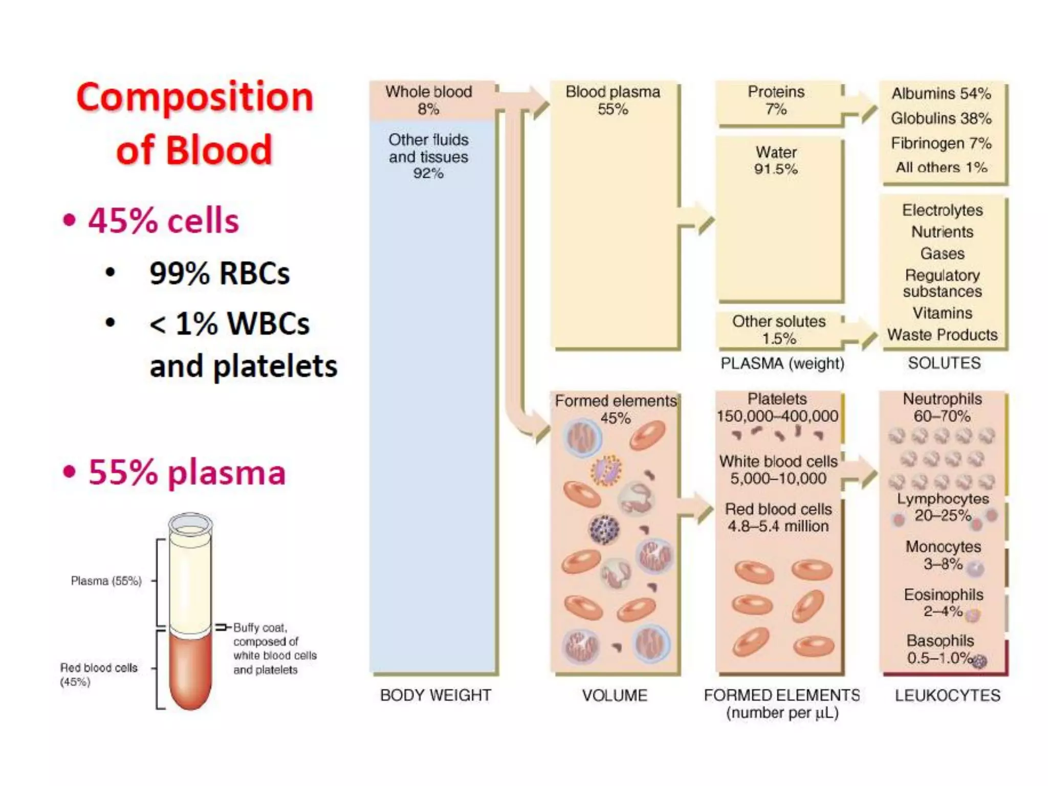 Blood Composition Chart.pdf blood and its composition.pdf | Blood Disorders | Diseases and Conditions