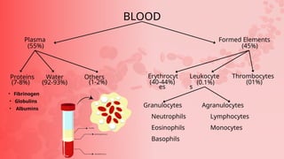 BLOOD
Formed Elements
(45%)
Plasma
(55%)
Proteins Water Others Erythrocyt
es
Thrombocytes
Leukocyte
s
Agranulocytes
Lymphocytes
Monocytes
Granulocytes
Neutrophils
Eosinophils
Basophils
(7-8%) (92-93%) (1-2%) (40-44%) (0.1%) (01%)
• Fibrinogen
• Globulins
• Albumins
 