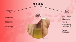 PLASMA
Others
(1.5%)
Proteins
(7%)
Water
(91.5%)
Albumins
Globulins
Fibrinoge
n
Electrolyte
s
Nutrients
Gases
Regulatory
Substances
Waste
Products
*image showing plasma serum
 