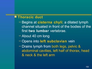  Thoracic duct
– Begins at cisterna chyli; a dilated lymph
channel situated in front of the bodies of the
first two lumbar vertebrae.
– About 40 cm long
– Opens into left subclavian vein
– Drains lymph from both legs, pelvic &
abdominal cavities, left half of thorax, head
& neck & the left arm
100
 