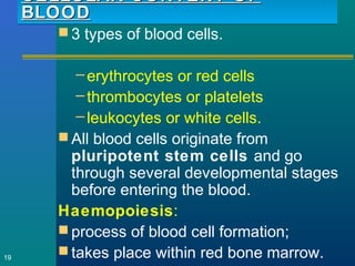 CELLULAR CONTENT OFCELLULAR CONTENT OF
BLOODBLOOD
CELLULAR CONTENT OFCELLULAR CONTENT OF
BLOODBLOOD
 3 types of blood cells.
–erythrocytes or red cells
–thrombocytes or platelets
–leukocytes or white cells.
 All blood cells originate from
pluripotent stem cells and go
through several developmental stages
before entering the blood.
Haemopoiesis:
 process of blood cell formation;
 takes place within red bone marrow.19
 