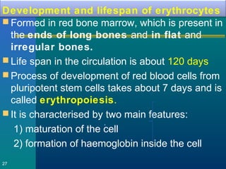 Development and lifespan of erythrocytes
 Formed in red bone marrow, which is present in
the ends of long bones and in flat and
irregular bones.
 Life span in the circulation is about 120 days
 Process of development of red blood cells from
pluripotent stem cells takes about 7 days and is
called erythropoiesis.
 It is characterised by two main features:
1) maturation of the cell
2) formation of haemoglobin inside the cell
27
.
 
