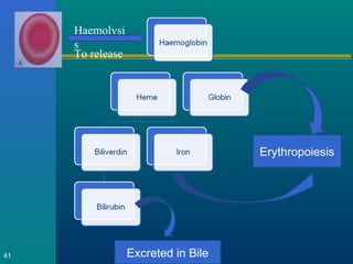 41 Excreted in Bile
Erythropoiesis
Haemolysi
s
To release
 