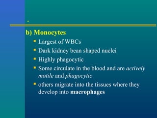 .
b) Monocytes
 Largest of WBCs
 Dark kidney bean shaped nuclei
 Highly phagocytic
 Some circulate in the blood and are actively
motile and phagocytic
 others migrate into the tissues where they
develop into macrophages
 