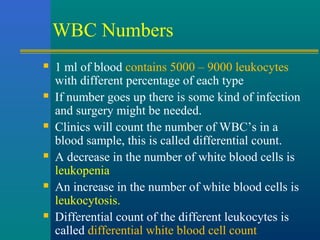 WBC Numbers
 1 ml of blood contains 5000 – 9000 leukocytes
with different percentage of each type
 If number goes up there is some kind of infection
and surgery might be needed.
 Clinics will count the number of WBC’s in a
blood sample, this is called differential count.
 A decrease in the number of white blood cells is
leukopenia
 An increase in the number of white blood cells is
leukocytosis.
 Differential count of the different leukocytes is
called differential white blood cell count
 
