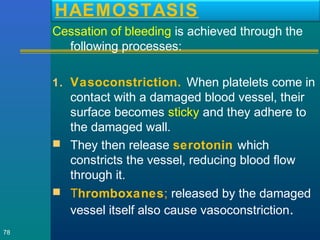 HAEMOSTASIS
Cessation of bleeding is achieved through the
following processes:
1. Vasoconstriction. When platelets come in
contact with a damaged blood vessel, their
surface becomes sticky and they adhere to
the damaged wall.
 They then release serotonin which
constricts the vessel, reducing blood flow
through it.
 Thromboxanes; released by the damaged
vessel itself also cause vasoconstriction.
78
 