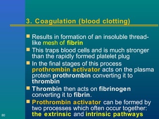 3. Coagulation (blood clotting)
 Results in formation of an insoluble thread-
like mesh of fibrin
 This traps blood cells and is much stronger
than the rapidly formed platelet plug
 In the final stages of this process
prothrombin activator acts on the plasma
protein prothrombin converting it to
thrombin
 Thrombin then acts on fibrinogen
converting it to fibrin.
 Prothrombin activator can be formed by
two processes which often occur together:
the extrinsic and intrinsic pathways80
 
