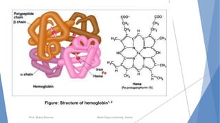 Prof. Mukul Sharma Medi-Caps University, Indore
Figure: Structure of hemoglobin1, 2
 