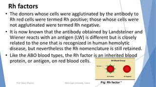 Rh factors
• The donors whose cells were agglutinated by the antibody to
Rh red cells were termed Rh positive; those whose cells were
not agglutinated were termed Rh negative.
• It is now known that the antibody obtained by Landsteiner and
Wiener reacts with an antigen (LW) is different but is closely
related to the one that is recognized in human hemolytic
disease, but nevertheless the Rh nomenclature is still retained.
• Like the ABO blood types, the Rh factor is an inherited blood
protein, or antigen, on red blood cells.
Prof. Mukul Sharma Medi-Caps University, Indore Fig: Rh factor 1
 