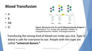 Blood Transfusion
• A
• B
• AB
• O
Transfusing the wrong kind of blood can make you sick. Type O
blood is safe for everyone to use. People with this type are
called “universal donors.”
Prof. Mukul Sharma Medi-Caps University, Indore
Figure: Structures of A, B, and O Oligosaccharide Antigens1, 2
Abbreviations: Fuc, fucose; Gal, galactose; GalNAc, N-
acetylgalactosamine; GlcNAc, N-acetylglucosamine.
 
