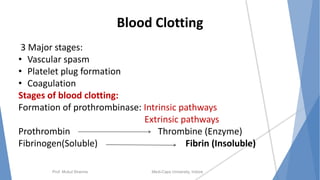 Blood Clotting
3 Major stages:
• Vascular spasm
• Platelet plug formation
• Coagulation
Stages of blood clotting:
Formation of prothrombinase: Intrinsic pathways
Extrinsic pathways
Prothrombin Thrombine (Enzyme)
Fibrinogen(Soluble) Fibrin (Insoluble)
Prof. Mukul Sharma Medi-Caps University, Indore
 