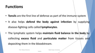 Functions
• Tonsils are the first line of defense as part of the immune system
• It also helps defend the body against infection by supplying
disease-fighting cells called lymphocytes.
• The lymphatic system helps maintain fluid balance in the body by
collecting excess fluid and particulate matter from tissues and
depositing them in the bloodstream.
Prof. Mukul Sharma Medi-Caps University,
Indore
 