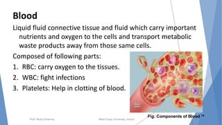 Blood
Liquid fluid connective tissue and fluid which carry important
nutrients and oxygen to the cells and transport metabolic
waste products away from those same cells.
Composed of following parts:
1. RBC: carry oxygen to the tissues.
2. WBC: fight infections
3. Platelets: Help in clotting of blood.
Prof. Mukul Sharma Medi-Caps University, Indore
Fig: Components of Blood 14
 