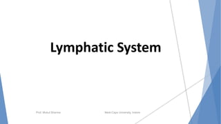 Blood and lymphatic system