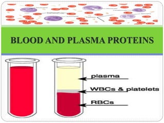 BLOOD AND PLASMA PROTEINS
 