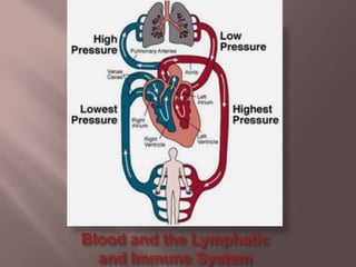 Blood and the Lymphatic and Immune System 