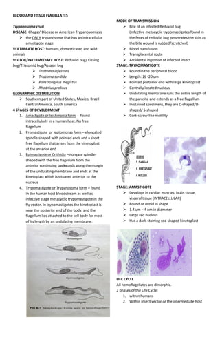 BLOOD AND TISSUE FLAGELLATES
Trypanosoma cruzi
DISEASE: Chagas’ Disease or American Trypanosomiasis
 the ONLY trypanosome that has an intracellular
amastigote stage
VERTEBRATE HOST: humans, domesticated and wild
animals
VECTOR/INTERMEDIATE HOST: Reduviid bug/ Kissing
bug/Triatomid bug/Assasin bug
 Triatoma infestans
 Triatoma sordida
 Panstrongylus megistus
 Rhodnius prolixus
GEOGRAPHIC DISTRIBUTION
 Southern part of United States, Mexico, Brazil
Central America, South America
4 STAGES OF DEVELOPMENT
1. Amastigote or leishmania form - found
intracellularly in a human host. No free
flagellum
2. Promastigote or leptomonas form – elongated
spindle-shaped with pointed ends and a short
free flagellum that arises from the kinetoplast
at the anterior end
3. Epimastigote or Crithidia –elongate spindle-
shaped with the free flagellum from the
anterior continuing backwards along the margin
of the undulating membrane and ends at the
kinetoplast which is situated anterior to the
nucleus
4. Trypomastigote or Trypanosoma form – found
in the human host bloodstream as well as
infective stage metacyclic trypomastigote in the
fly vector. In trypomastigotes the kinetoplast is
near the posterior end of the body, and the
flagellum lies attached to the cell body for most
of its length by an undulating membrane.
MODE OF TRANSMISSION
 Bite of an infected Reduviid bug
(Infective metacyclic trypomastigotes found in
the feces of reduviid bug penetrates the skin as
the bite wound is rubbed/scratched)
 Blood transfusion
 Transplacental route
 Accidental ingestion of infected insect
STAGE: TRYPOMASTIGOTE
 Found in the peripheral blood
 Length: 16 -20 um
 Pointed posterior end with large kinetoplast
 Centrally located nucleus
 Undulating membrane runs the entire length of
the parasite and extends as a free flagellum
 In stained specimens, they are C-shaped/U-
shaped/ S-shaped
 Cork-screw-like motility
STAGE: AMASTIGOTE
 Develops in cardiac muscles, brain tissue,
visceral tissue (INTRACELLULAR)
 Round or ovoid in shape
 1.4 um – 4 um in diameter
 Large red nucleus
 Has a dark-staining rod-shaped kinetoplast
LIFE CYCLE
All hemoflagellates are dimorphic.
2 phases of the Life Cycle:
1. within humans
2. Within insect vector or the intermediate host
 