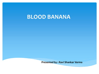 BLOOD BANANA
Presented by : Ravi Shankar Verma
 