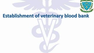 animal Blood banking | PPTX