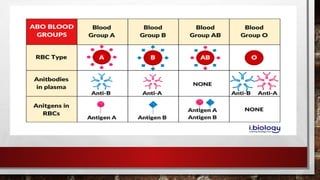 blood bank .pptx pathology for MBBS student | PPTX