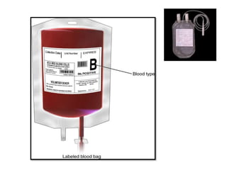 Blood bank and its significance | PPTX