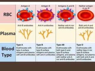 Selectogen Blood Banking.pptx