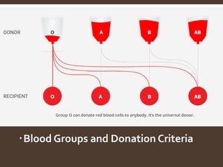 Blood Groups and Donation Criteria
 