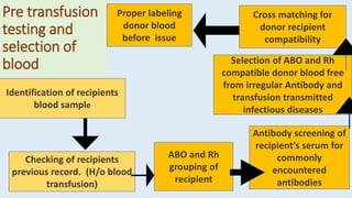 blood bank part 1.pptx