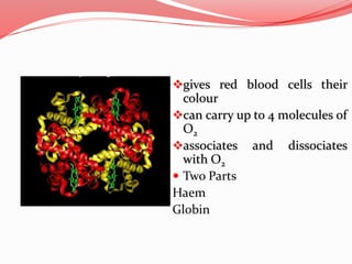 gives red blood cells their
colour
can carry up to 4 molecules of
O2
associates and dissociates
with O2
 Two Parts
Haem
Globin
 