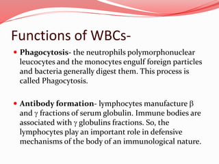 Functions of WBCs-
 Phagocytosis- the neutrophils polymorphonuclear
leucocytes and the monocytes engulf foreign particles
and bacteria generally digest them. This process is
called Phagocytosis.
 Antibody formation- lymphocytes manufacture b
and g fractions of serum globulin. Immune bodies are
associated with g globulins fractions. So, the
lymphocytes play an important role in defensive
mechanisms of the body of an immunological nature.
 